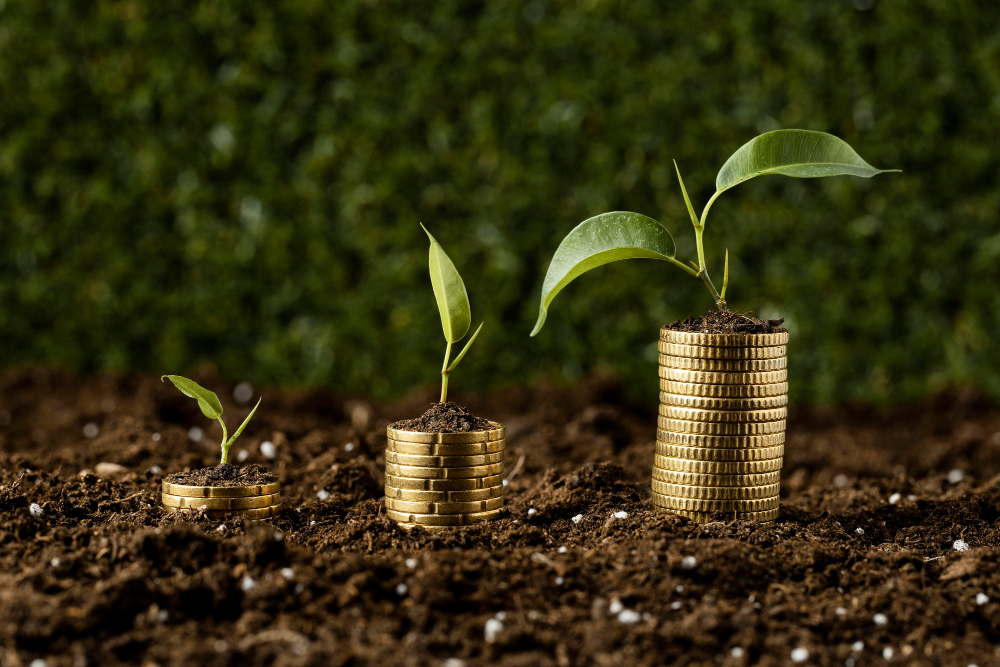 Maximise Your Investments: The Benefits of Comparing Mutual Funds