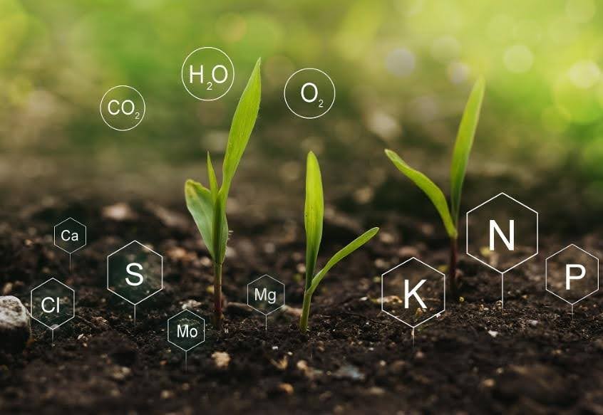 Essential Nutrients for Soil