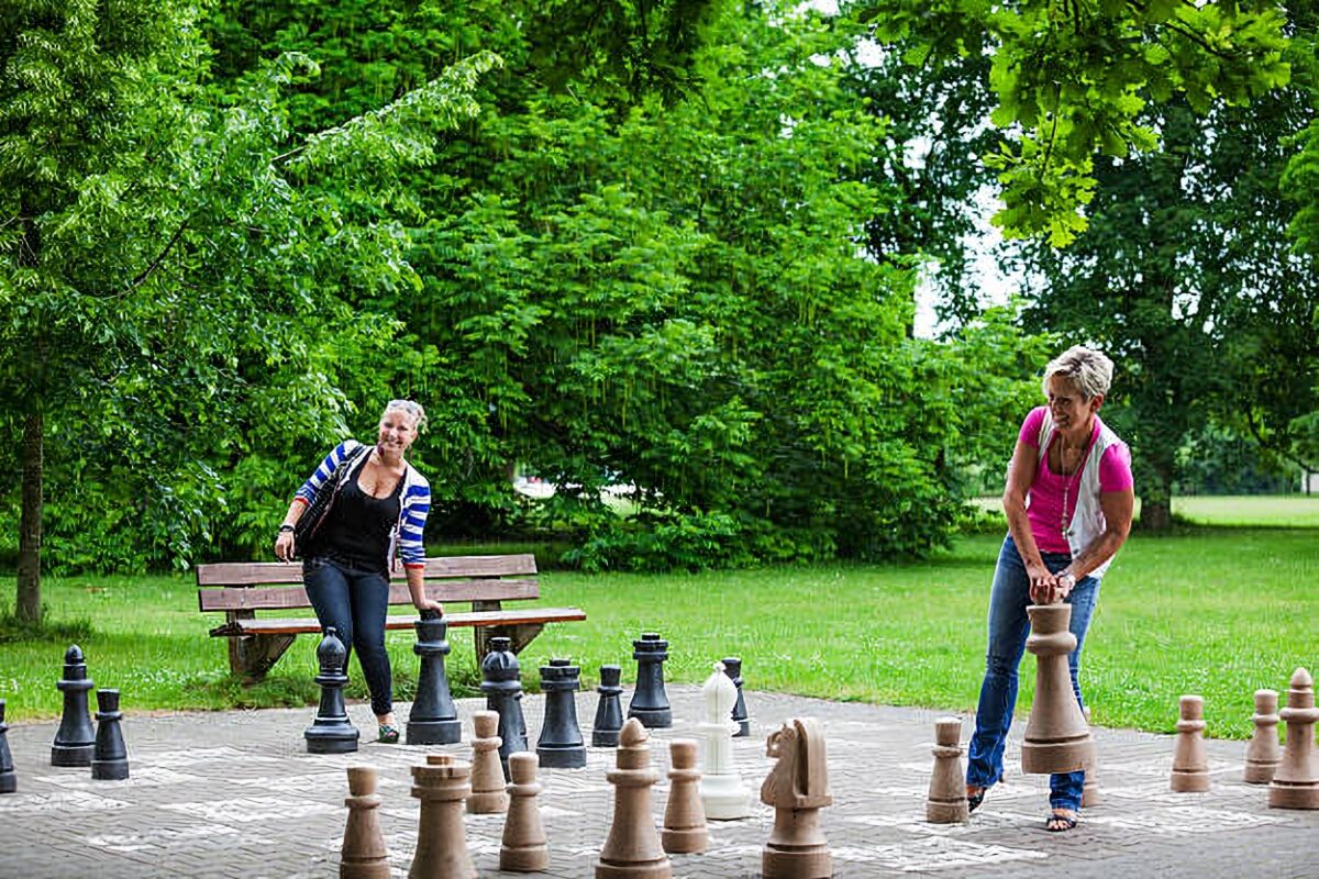 The Art of Strategy: Playing with a Giant Chess Set