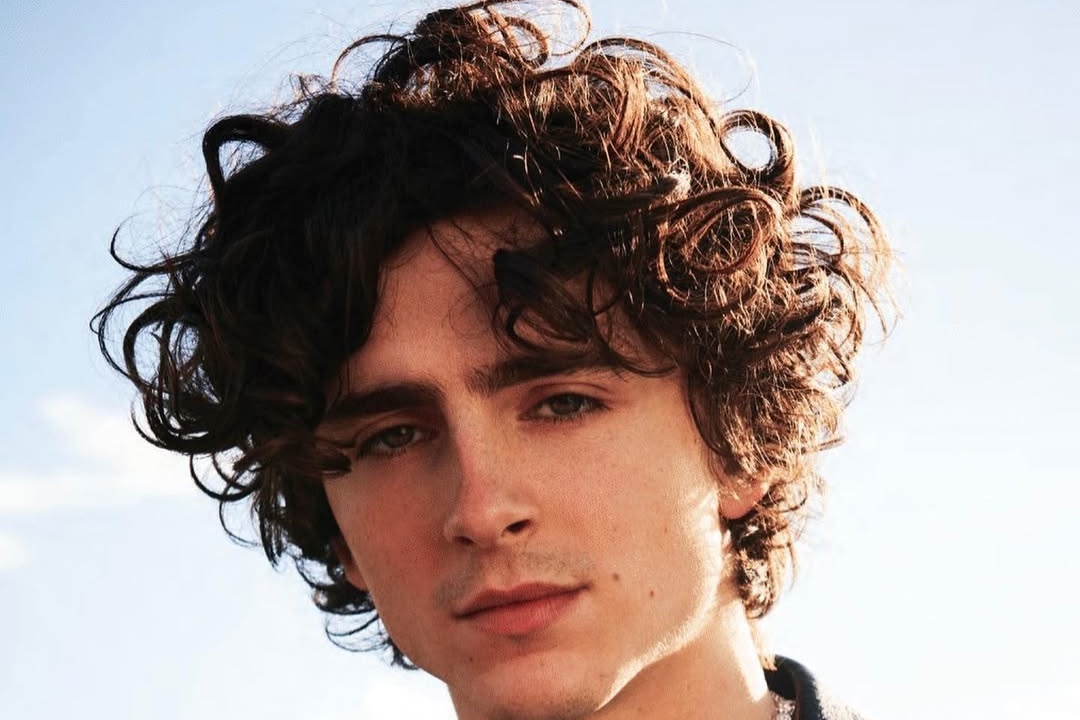 Timothee Chalamet